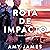 Rota de impacto