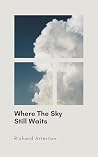 Where The Sky Sti...