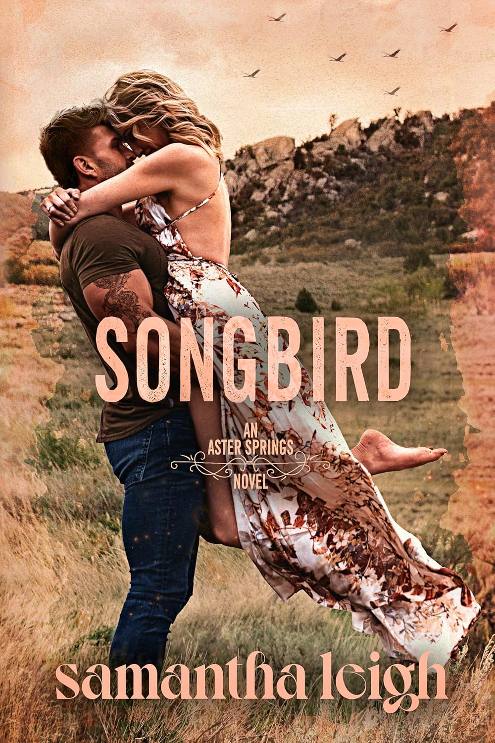 Songbird (Aster Springs, #3)