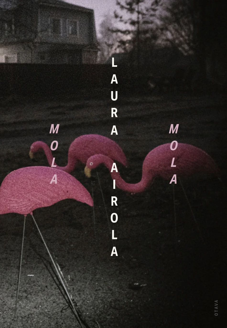 Mola mola (Hardcover)