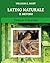 LATINO NATURALE: Il Metodo ...