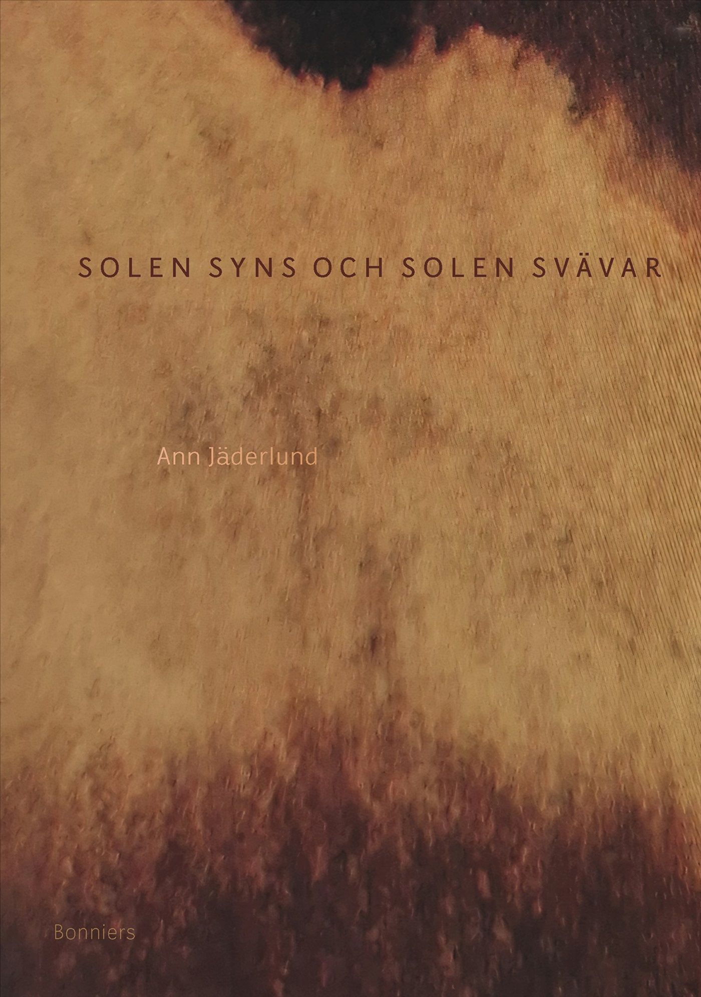 Solen syns och solen svävar (Paperback)