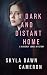 A Dark and Distant Home (Waverly Jones Mysteries)