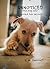 Unnoticed: The dog who carr...