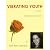 Vibrating Youth: On a budge...