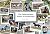 The Chincoteague Ponies of Assateague by Amanda Geci