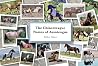 The Chincoteague ...