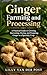 Ginger Farming and Processi...