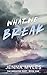 What We Break (The Breaking Duet Book 1)