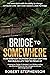 Bridge to Somewhere