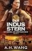 Der Indus-Stern: Ein mitrei...