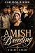 Amish Breeding: Reverse Harem