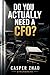 Do You Actually Need a CFO?...