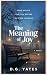 The Meaning of Joy: A Coming-of-Age Novel