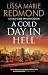 A COLD DAY IN HELL an absolutely gripping crime mystery (Cold Case Investigations Book 1)