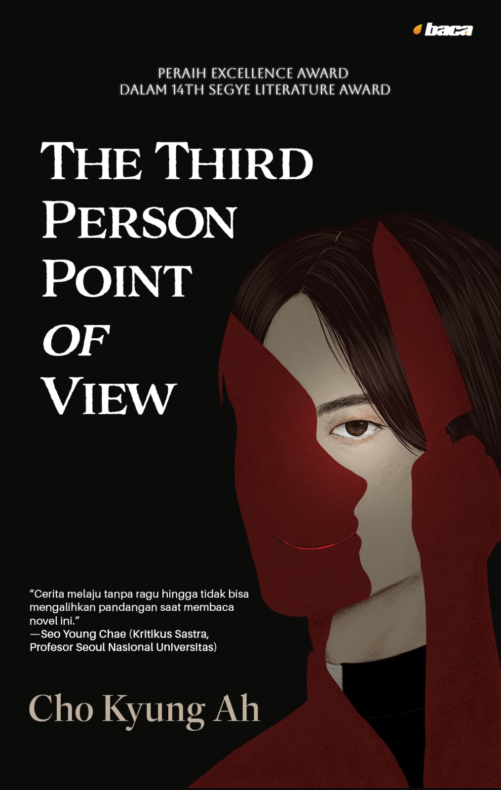 The Third Person Point of View (Paperback)
