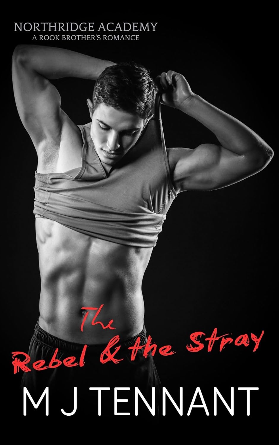 The Rebel and the Stray (A Northridge Academy Series, #1)