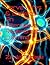 Nerve Wires & Sockets: An A...