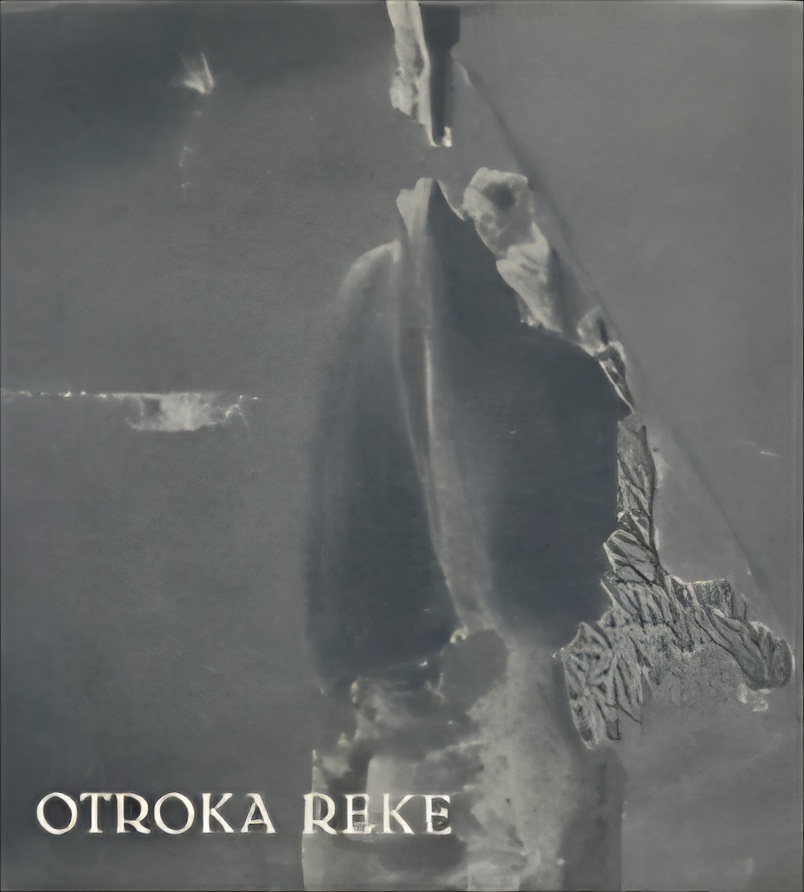 Otroka reke (Hardcover)