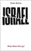 Israel: What Went Wrong?