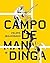 Campo de Mandinga