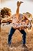 8 Endless Seconds by Mrs. Sydney E French