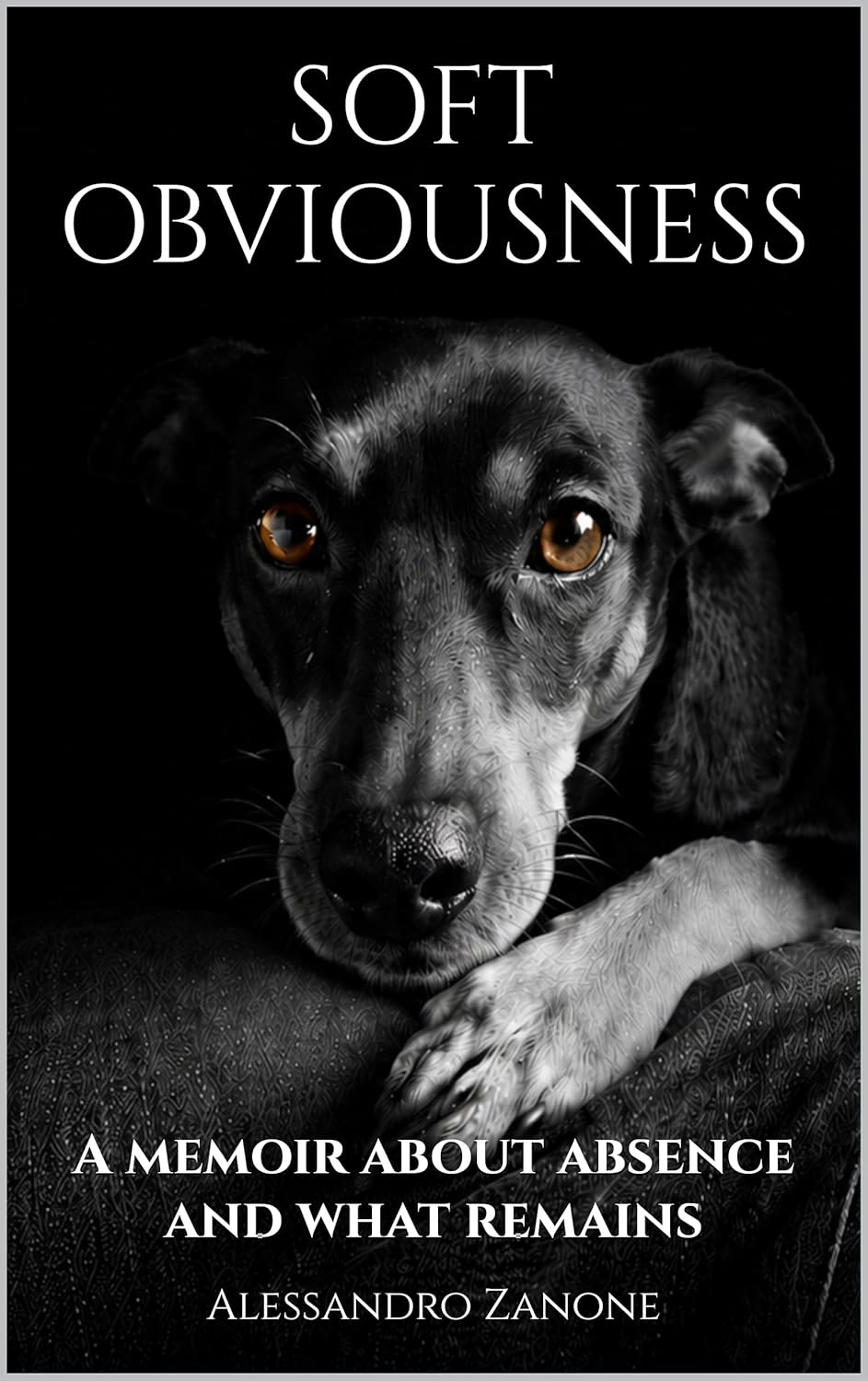 Soft Obviousness: A memoir about absence and what remains