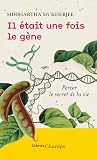 Il était une fois...