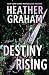 Destiny Rising: A Novel