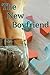 The New Boyfriend by Evelyn Prince