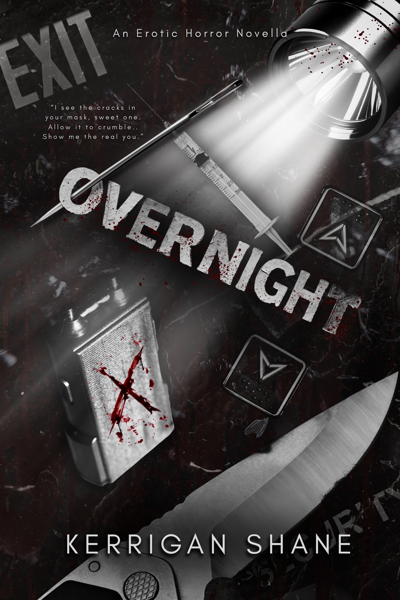 Overnight: An Erotic Horror Novella (The Red Night Archive Book 1)