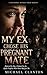 My Ex Chose His Pregnant Ma...