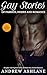 Gay Stories of Passion, Des...