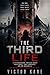 The Third Life: A Psycholog...