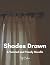Shades Drawn: A Twisted and Timely Novella