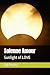 Solenne Amour: Sunlight of ...