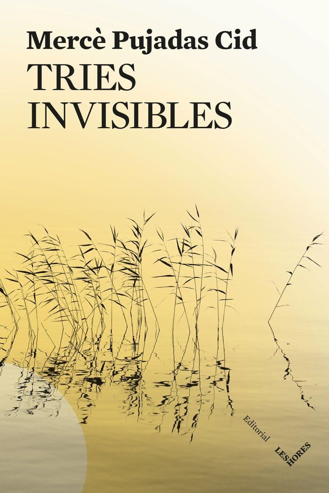 Tries invisibles (Paperback)