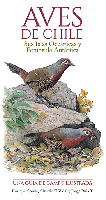 Aves de Chile: Sus Islas Oceánicas y Península Antártica (Paperback)