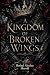 A Kingdom of Broken Wings by Rafael Alcolea