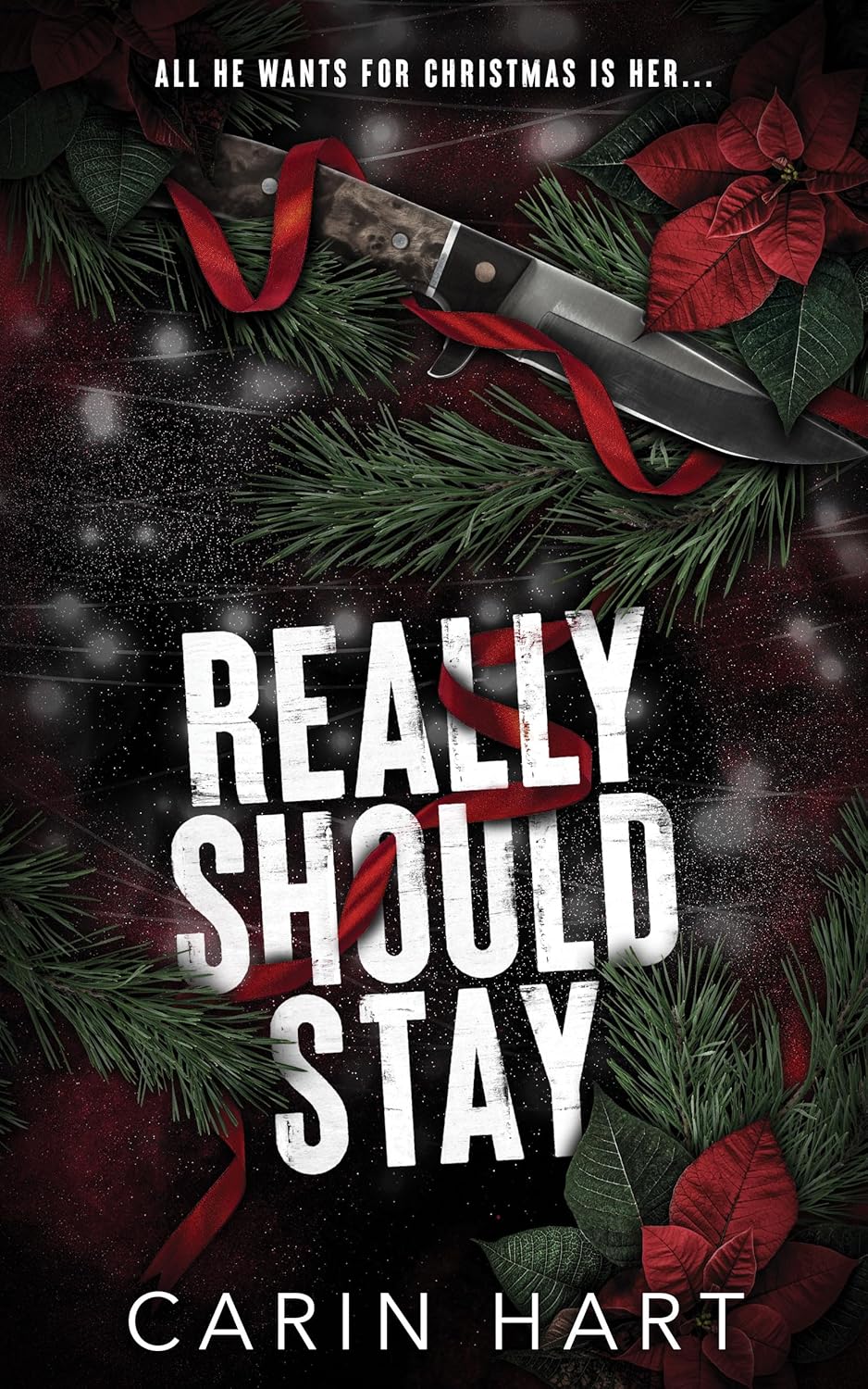 Really Should Stay (Reed Twins #2)