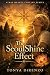 The SeoulShine Effect (Stra...