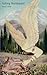 Falling Northward by Hazel Cline
