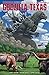 Godzilla Vs. America: Texas