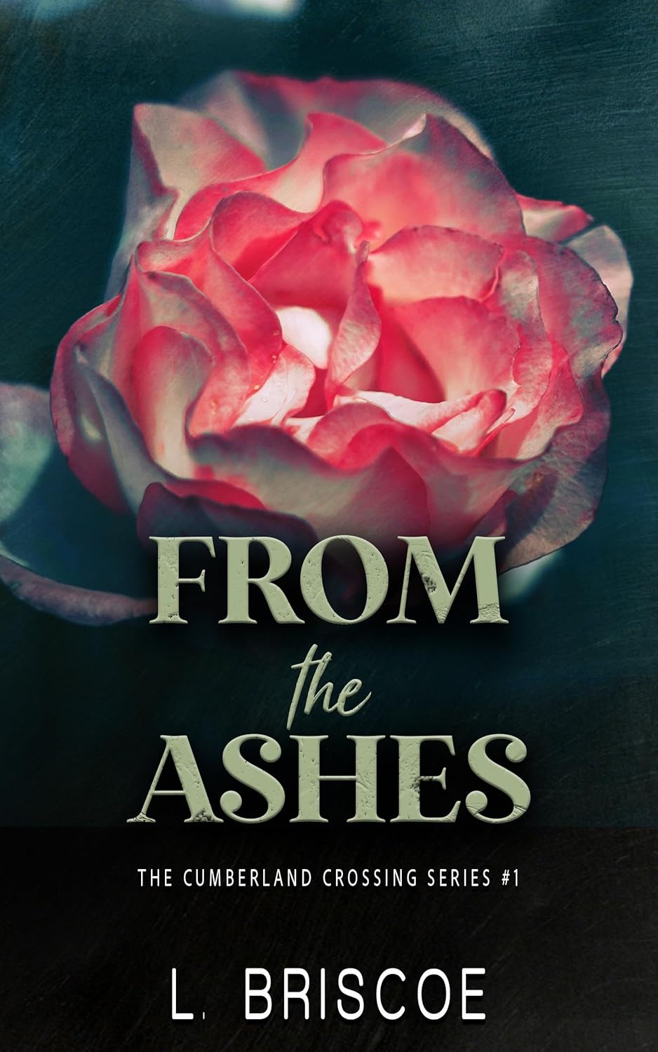 From the Ashes (Cumberland Crossing #1)