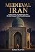 Medieval Iran: Sultans, Sai...