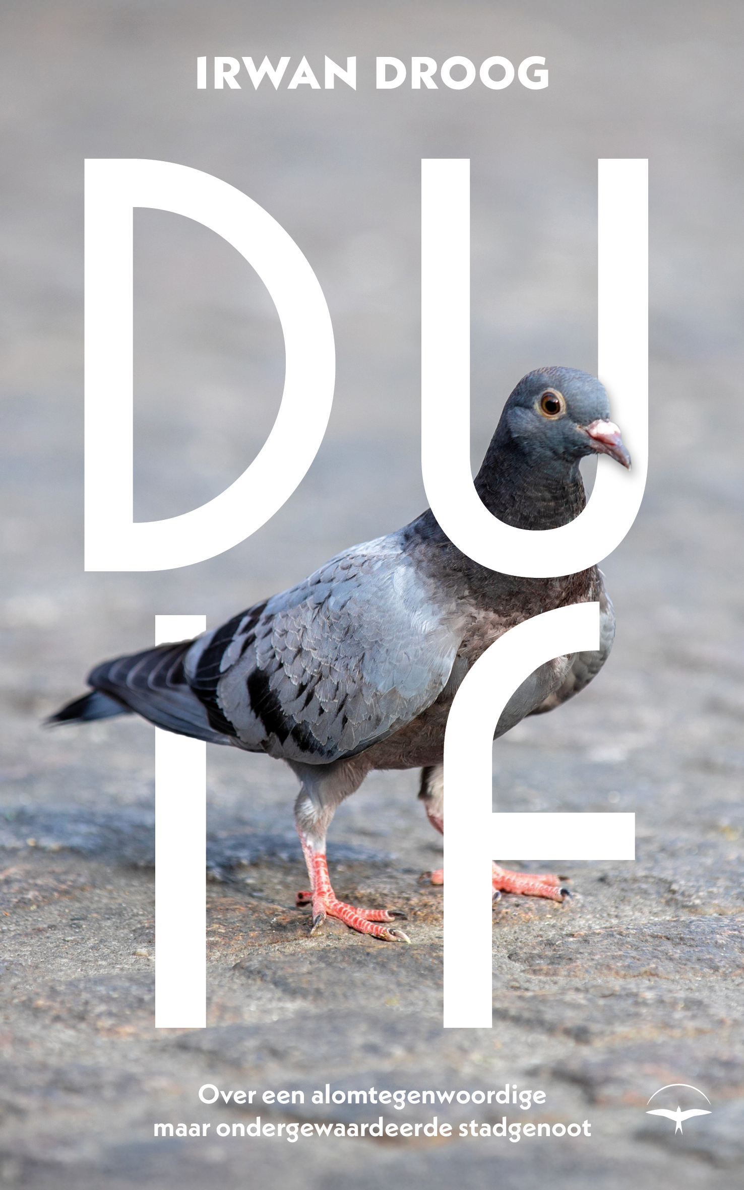 Duif. Over een alomtegenwoordige maar ondergewaardeerde stadgenoot