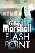 FLASH POINT an absolutely g...