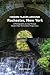 Hidden Places Around Rochester, New York by Debi Bower