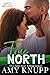 True North (North Brothers #1)