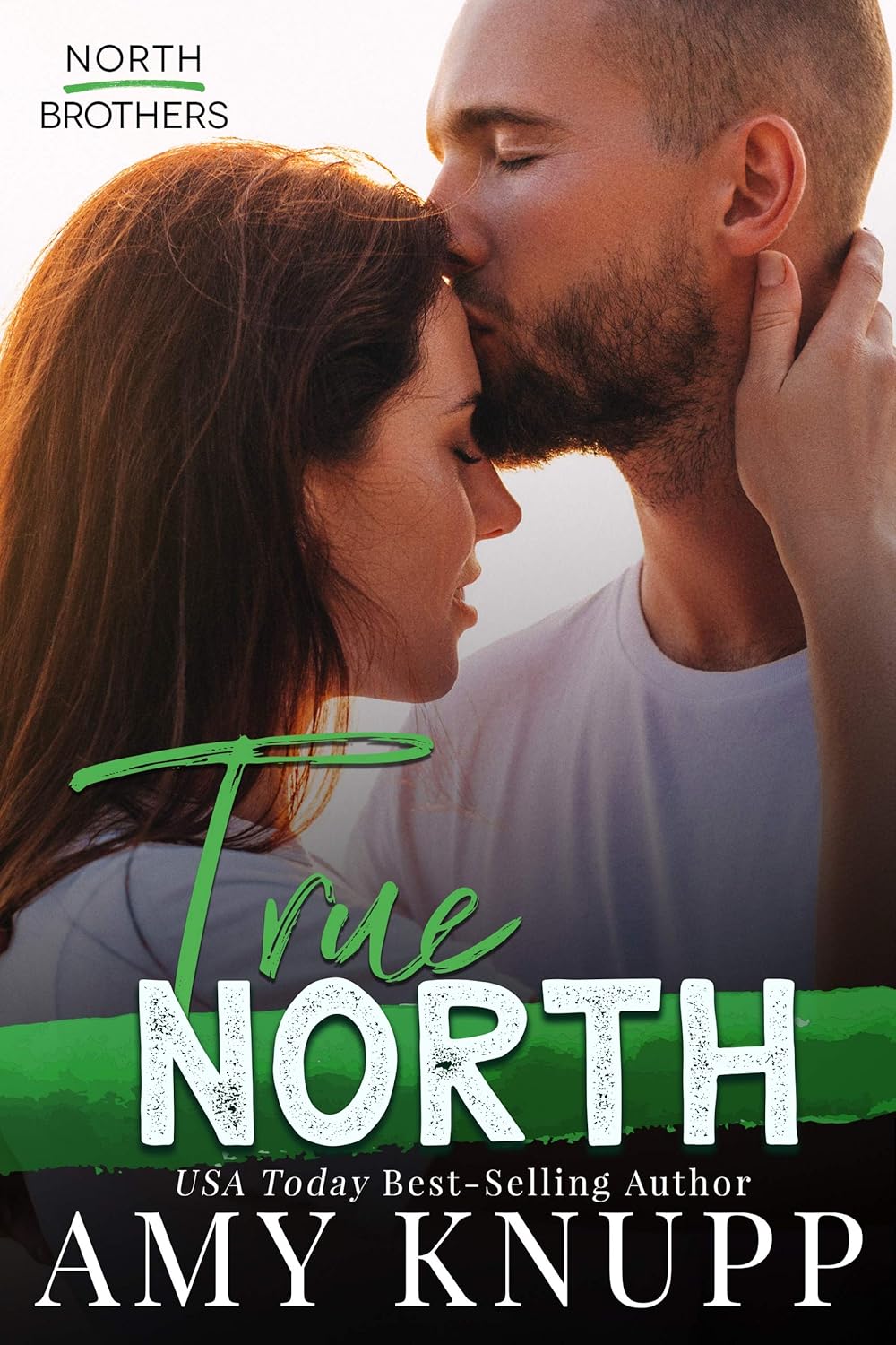 True North (North Brothers #1)